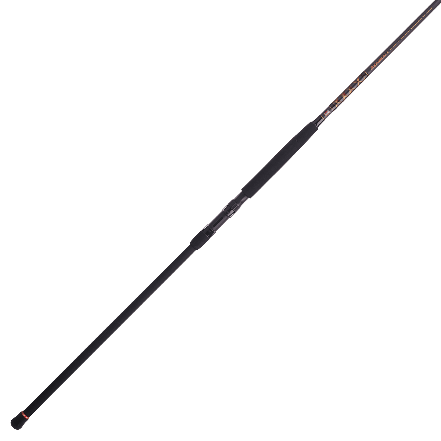 PENN 10' Squadron III Surf Casting Rod, Medium Power