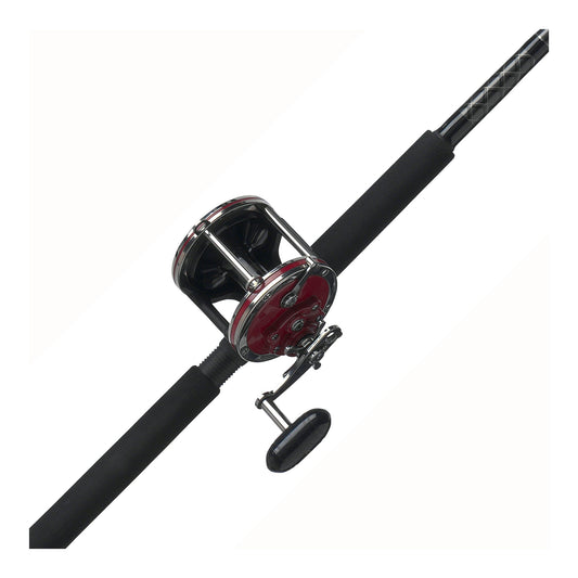 PENN Special Senator Conventional Combo, Reel Size 113