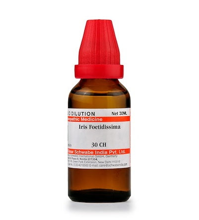 Iris Foetidissima Dilution 6C, 30C, 200C, 1M, 10M