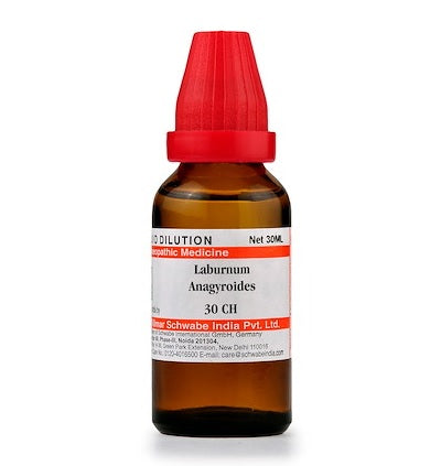 Laburnum Anagyroides Dilution 6C, 30C, 200C, 1M, 10M