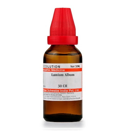 Lamium Album Dilution 6C, 30C, 200C, 1M, 10M