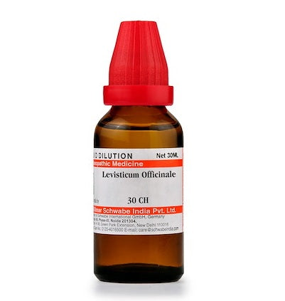 Levisticum Officinale Dilution 6C, 30C, 200C, 1M, 10M